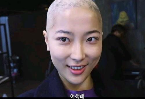 光头情侣网红有哪些人,从网络红人到人生新篇章的蜕变之旅