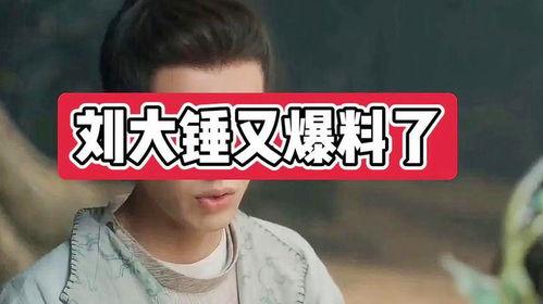 刘大锤被爆料了吗视频,揭秘背后真相