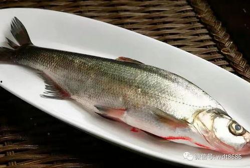 放下鱼吃瓜等于几,揭秘等于几的趣味谜题