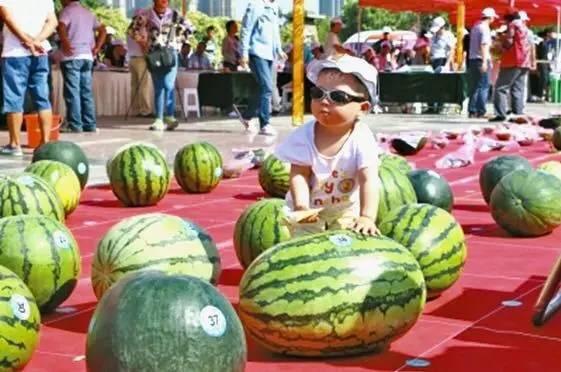 缅甸电诈吃瓜网站,吃瓜网站带你深入了解电诈黑幕