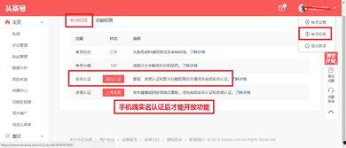 今日头条图文转发平台,轻松实现内容传播新高度