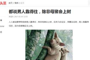 头条怎么成为搞笑领域,头条教你成为幽默达人