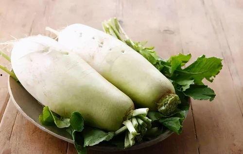 小羊白衬衫吃瓜,趣味横生的夏日时光