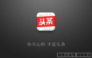 头条关注什么领域好