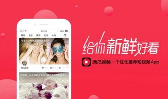 头条直播怎么变成视频,轻松实现直播内容二次传播