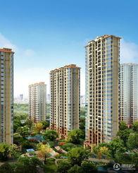 观湖国际的明星,明星璀璨，荣耀共生之地