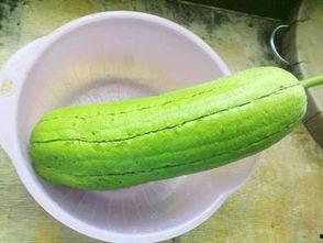 水瓜是什么瓜家人吃,探寻家喻户晓的瓜类美食