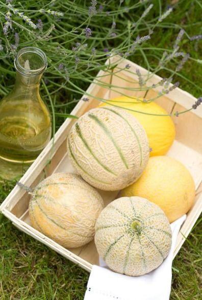 吃瓜白卡,带你走进神秘的网络世界