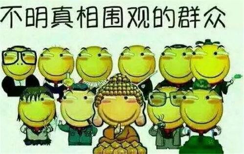 吃瓜群众大喊666图片,揭秘网络热图背后的故事