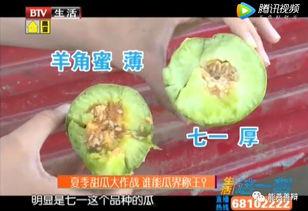 万能在线吃瓜,揭秘网络时代的娱乐盛宴